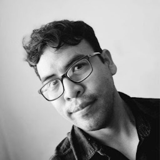 desarrollo web profesional